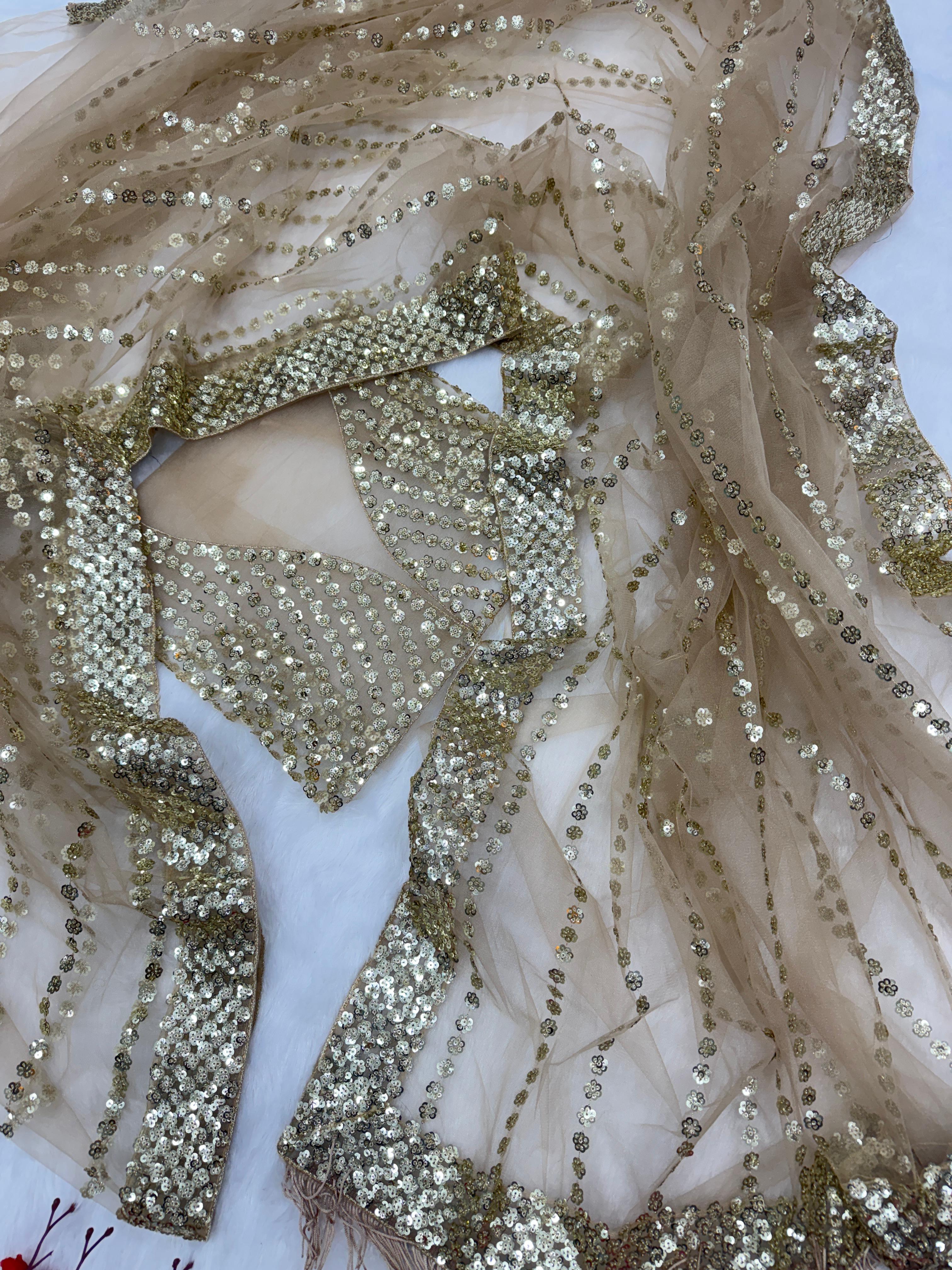 Gold Heavy Net Saree – Fancy Sequins Embroidery